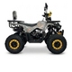 ATV Forte 150 