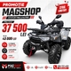 ATV pe benzină Viper SHARK 250