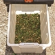 Tocator de crengi electric Villager VC 2500