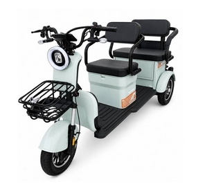Tricicleta electrica Viper E-PSG 6 2000W gri