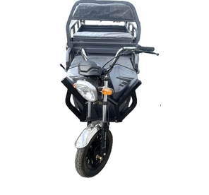 Triciclu electric New One TL130