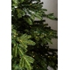 Brad artificial Woodland 2.10m