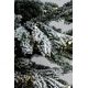 Brad artificial Woodland Snow 2.10m