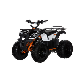 ATV KAYO AU110
