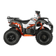 ATV KAYO AU110