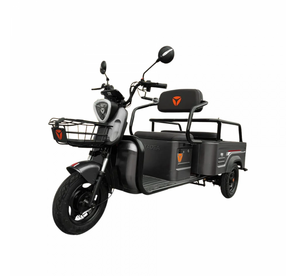 Triciclu cu remorcă Yadea F110B