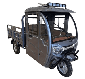 Viper E-Cargo 20 Pro